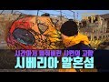 바이칼호수 알혼섬으로 떠나는 감성 여행 #15