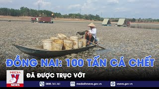 100 tấn cá chết ở Đồng Nai đã được trục vớt - VNews
