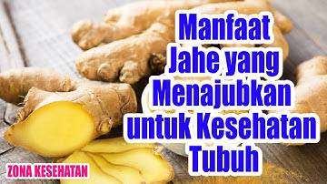 Tidak masuk Akal inilah 10 Manfaat Jahe yang Menajubkan untuk Kesehatan Tubuh - ZONA KESEHATAN