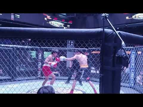 Yurrico Cain Subion Vs John Louie Lastimosa Urcc Dynasty Fight Club