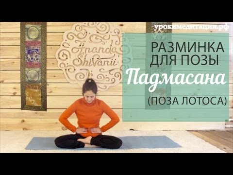 Разминка для позы Падмасана (поза Лотоса).
