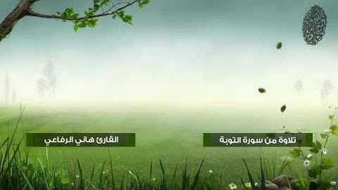 تلاوة من سورة مريم – القاري هاني الرفاعي