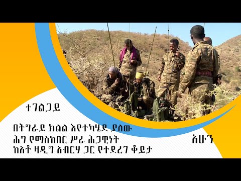 ⁣በትግራይ ክልል እየተካሄደ ያለው ሕግ የማስከበር ሥራ ሕጋዊነት - ከአቶ ዛዲግ አብርሃ ጋር የተደረገ ቆይታ