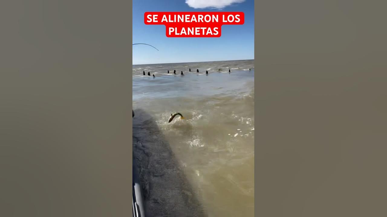 SE ALINEARON LOS fishing fish argentina 2025 fishingvideo
