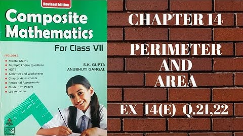 std 7 || exe 14(E) || Q.21,22 || Perimeter and Area || composite mathematics || s.chand