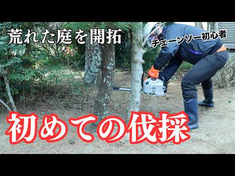 【開拓02】素人が人生初の伐採｜うっそうとした庭をチェーンソーで…エンジン始動から大苦戦の1日 - cotucotu farm