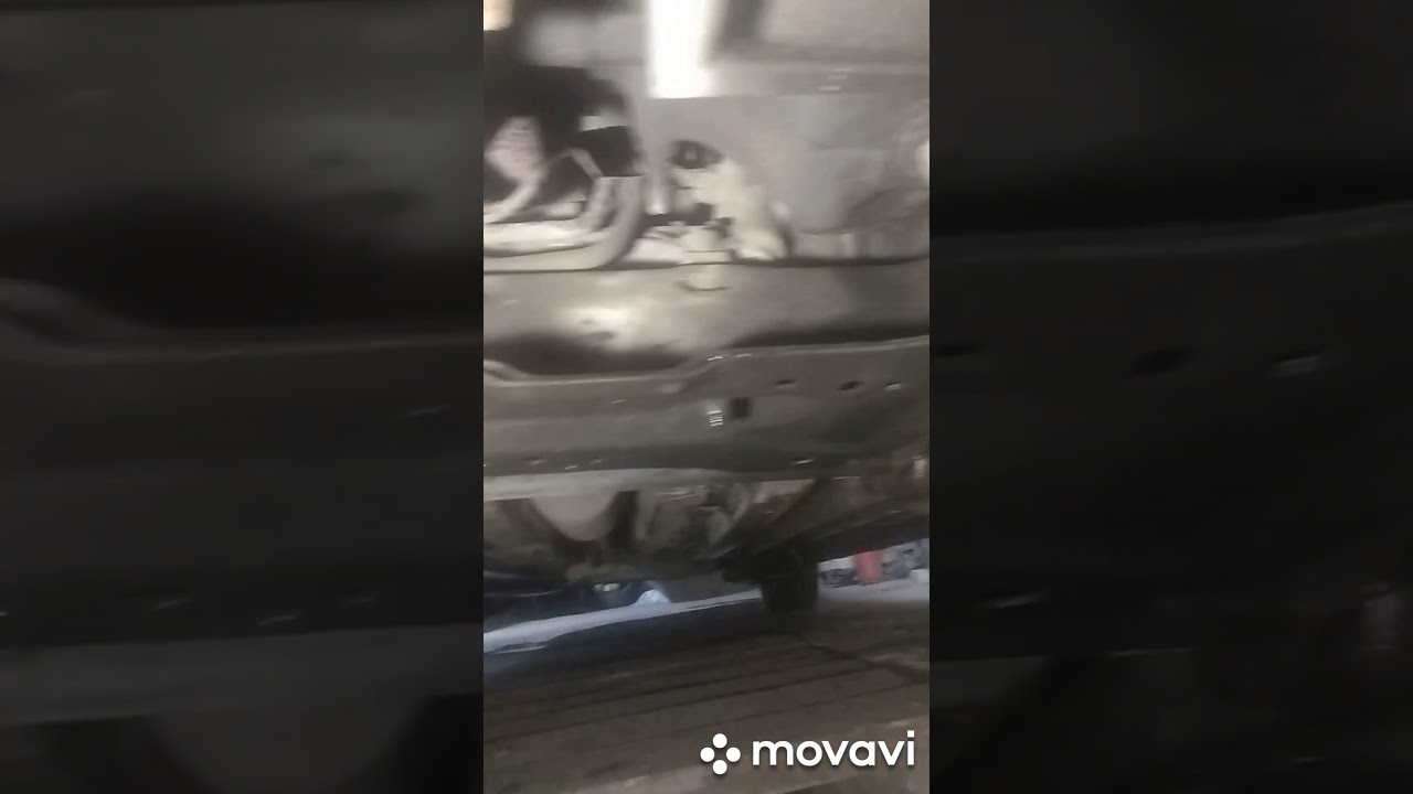 Замена сальника и масла в коробке Пежо 307 1.6 бензин - YouTube