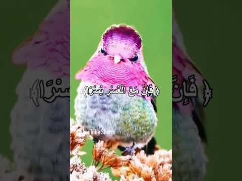 سورة الشرح