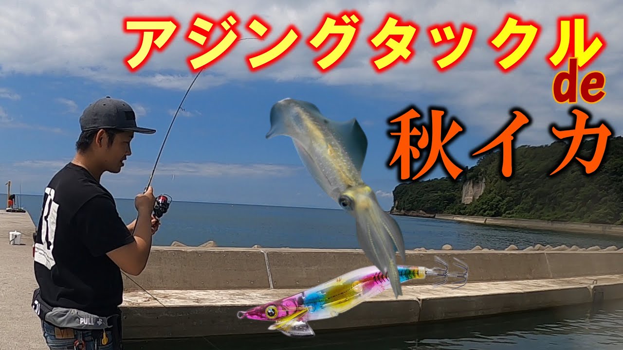 アジングロッドで楽しむ秋エギングの釣り方 注意点 Youtube