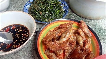 đi giang lưới cá làm bữa cơm trưa mộc mạc vậy mà ngon