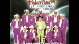 Video thumbnail of "EL CHUBASCO - LOS PAJARITOS DE TACUPA MICHOACAN"