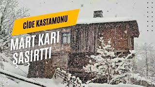 Köyde Mart karı şaşırttı -Cide Kastamonu #mesuthurma #mesuthurmabelgeselleri