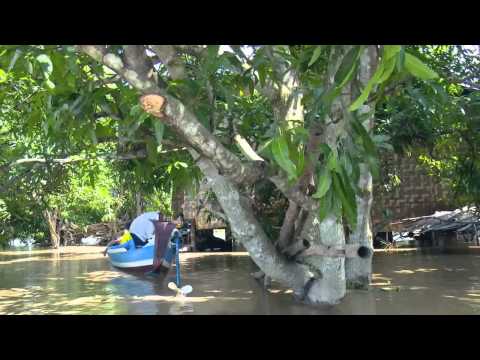 Floods in Myanmar: a FOUR PAWS rapid response mission has started