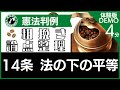 ［14条 法の下の平等］憲法判例 粗挽き論点整理【体験版】［行政書士　受験］