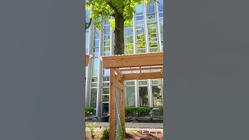 Enjoy the Peace Garden outside of Hunt Library