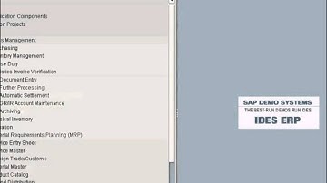 SAP Invoice Payment Blocks