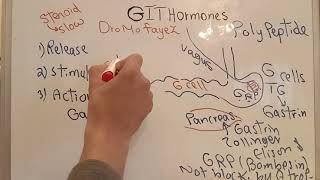 GIT Hormones Dr Mohamed Fayez