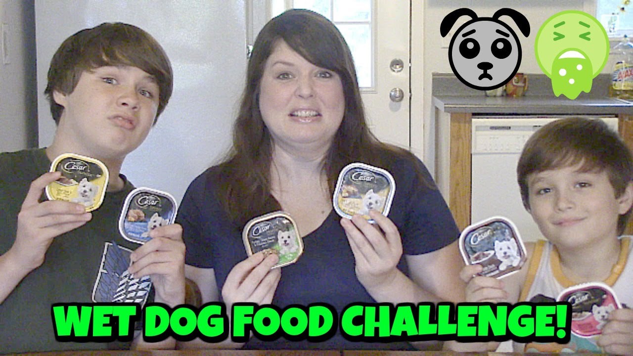 NASTY WET DOG FOOD CHALLENGE! / TRAVELKATZFAMILY YouTube