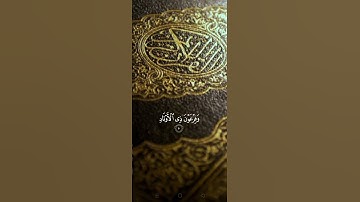 كرومة شاشة سوداء بصوت الشيخ محمد_اللحيدان سورة_الفجر