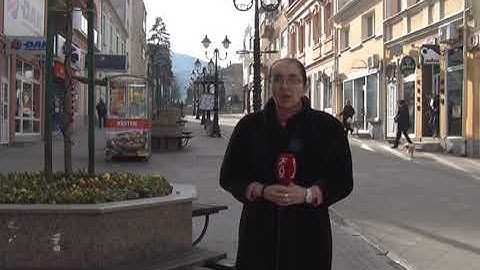 Koliko strani turisti posecuju Rasku i Kopaonik