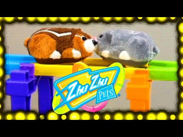 Circuit manège + zhu zhu pets