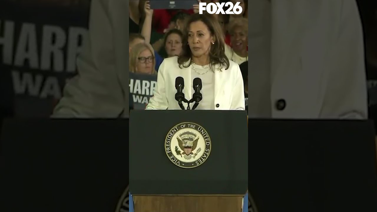 Harris Calls Out Protesters At A Rally In Michigan
