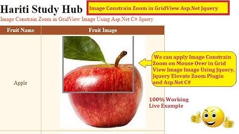Image Constrain Zoom on Mouse Over in GridView with Asp.Net C# Jquery | Hindi | Free Online Class