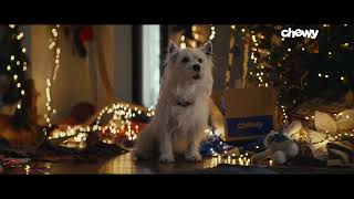 Pets Aren't Just Pets, They're More: Unbridled Joy | Chewy Holiday by Chewy 956,965 views 5 months ago 31 seconds