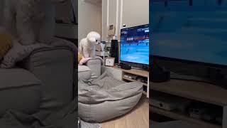 😱 Baby Does a PERFECT Flip After Watching TV! | Toddler Shock 2026