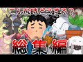 ポケモンペットトラブル相談室に対するみんなの反応集総集編