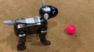 Refurbished Sony Aibo ERS210 Overview/Demo (robotchat 3rd Anniversary Aibo Giveaway)