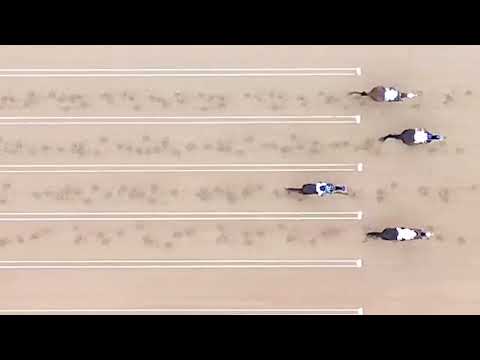 Vídeo: GP Pres. do Centro Hípico do Oeste - I Derby - Sr. Jonatas de Oliveira Dantas Filho