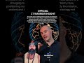 #XRP #Ripple #CryptoEducation #BlockchainTechnology #DigitalAssets #altcoins #blockchain