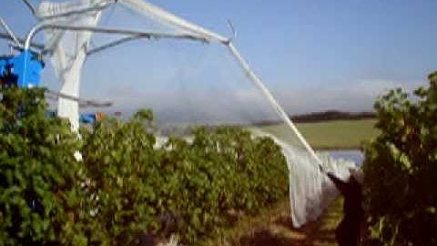 Bird Netting Grape Vines Deploy 2 Rows-1 0408 241 998