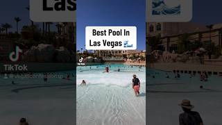 Is This The Best Pool In Las Vegas? #lasvegas #vacation #pool