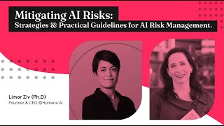 Mitigating AI Risks: Strategies & Practical Guidelines for AI Risk Management