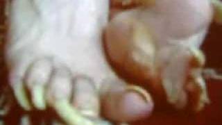 I Love Long Toenails And You Too