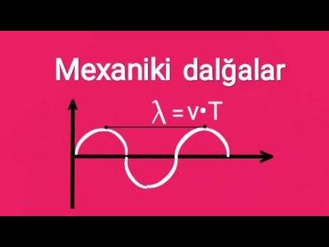 Fizika ders 32.Mexaniki rəqslər və dalğalar.Mexaniki dalğalar.Səs dalğaları.Səs lokasiyası