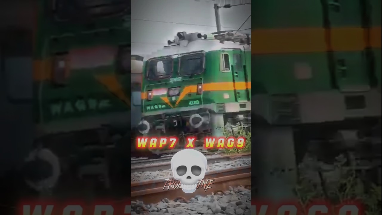 When *WAP* Meets *WAG* ☠️💀 ll 