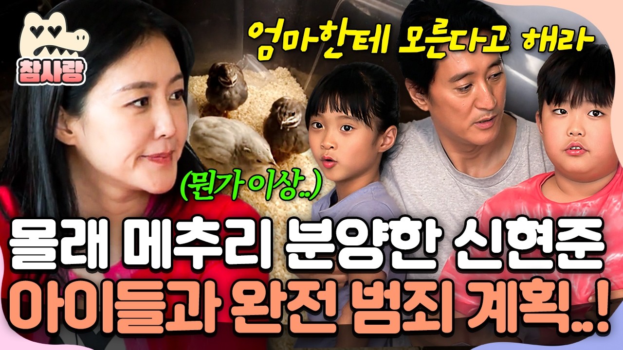 [#참사랑] 아이들 위해 메추리 분양한 신현준!? 아내가 모르게 아이들과 메추리 사수하는 신현준네 삼부자💥 | #아빠는꽃중년 23회
