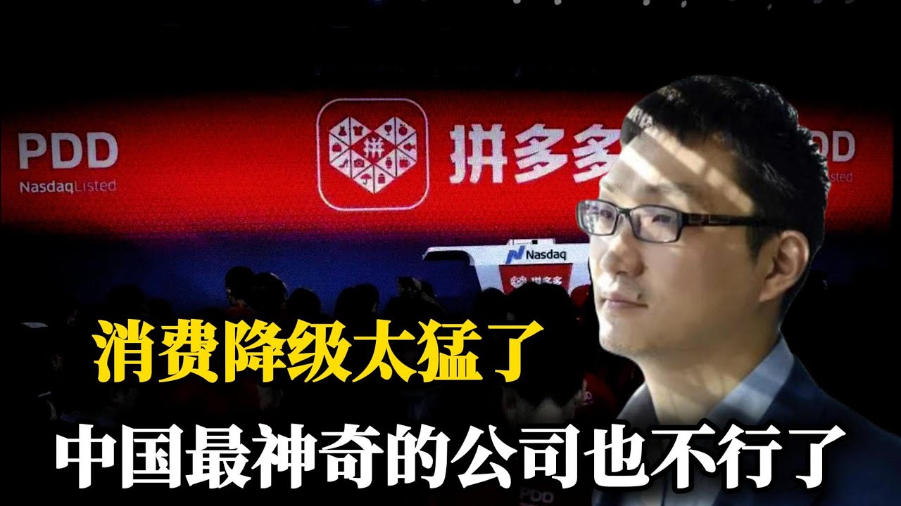 卷到最后一无所有！拼多多也不行了，一季度利润几乎腰斩，国内的消费降级越来越严重了！｜电商｜失业｜经济危机｜内卷｜价格战｜竞争｜中美贸易战｜外贸｜侃见｜
