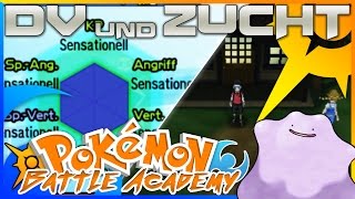 PERFEKTE DV UND ZUCHT IN POKÉMON SONNE & MOND | TUTORIAL | BATTLE ARENA ACADEMY