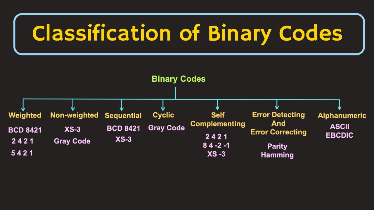 Binary Codes Classification Of Binary Codes Explained YouTube