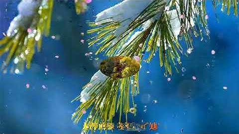 水木年華一首老歌《在他鄉》，旋律響起，讓人想起家鄉