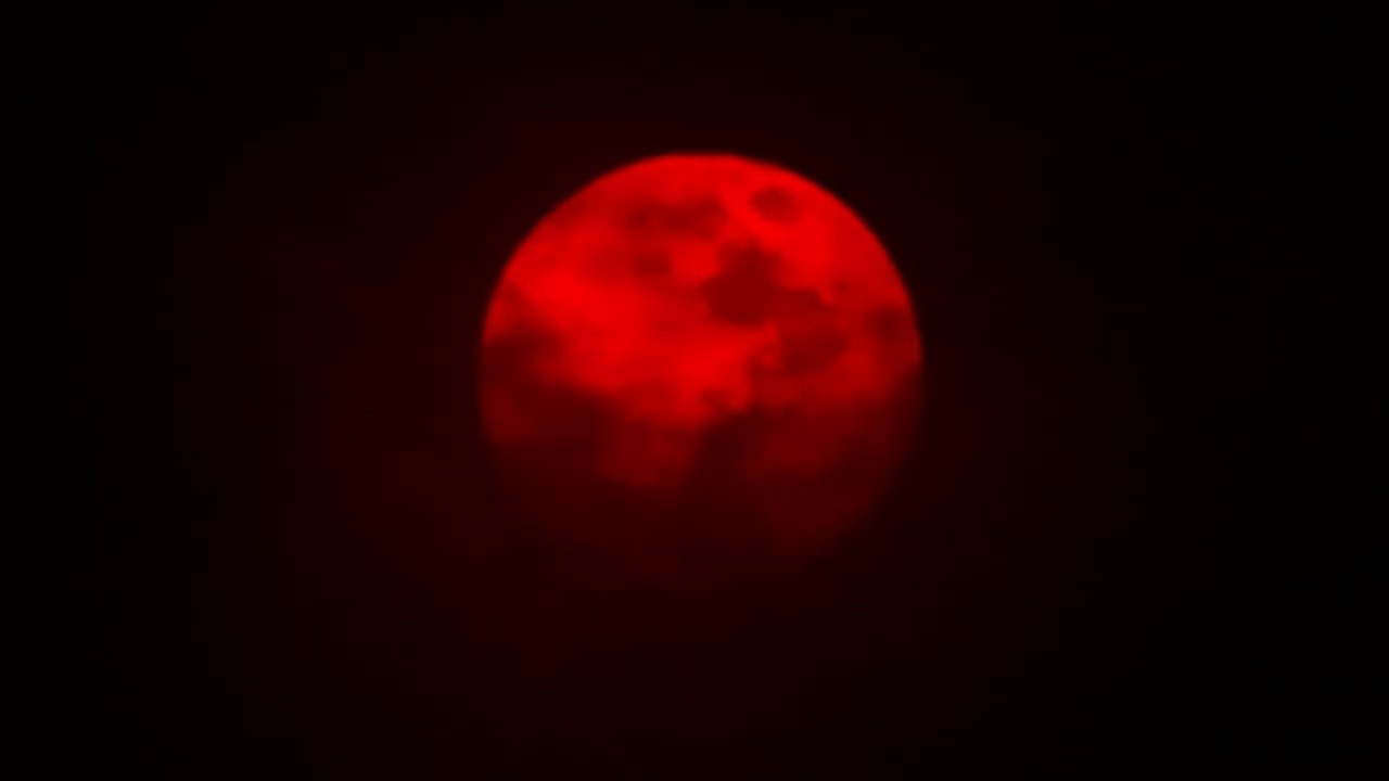 Full moon howl
