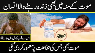amazing story of Ricky who survived in desert for 71 days in urdu hindi | Urdu Cover