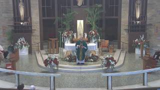 Don't Let the 'Weeds' of Life Choke Your Faith