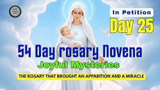 Day 25 - 54-Day Rosary Novena in Petition