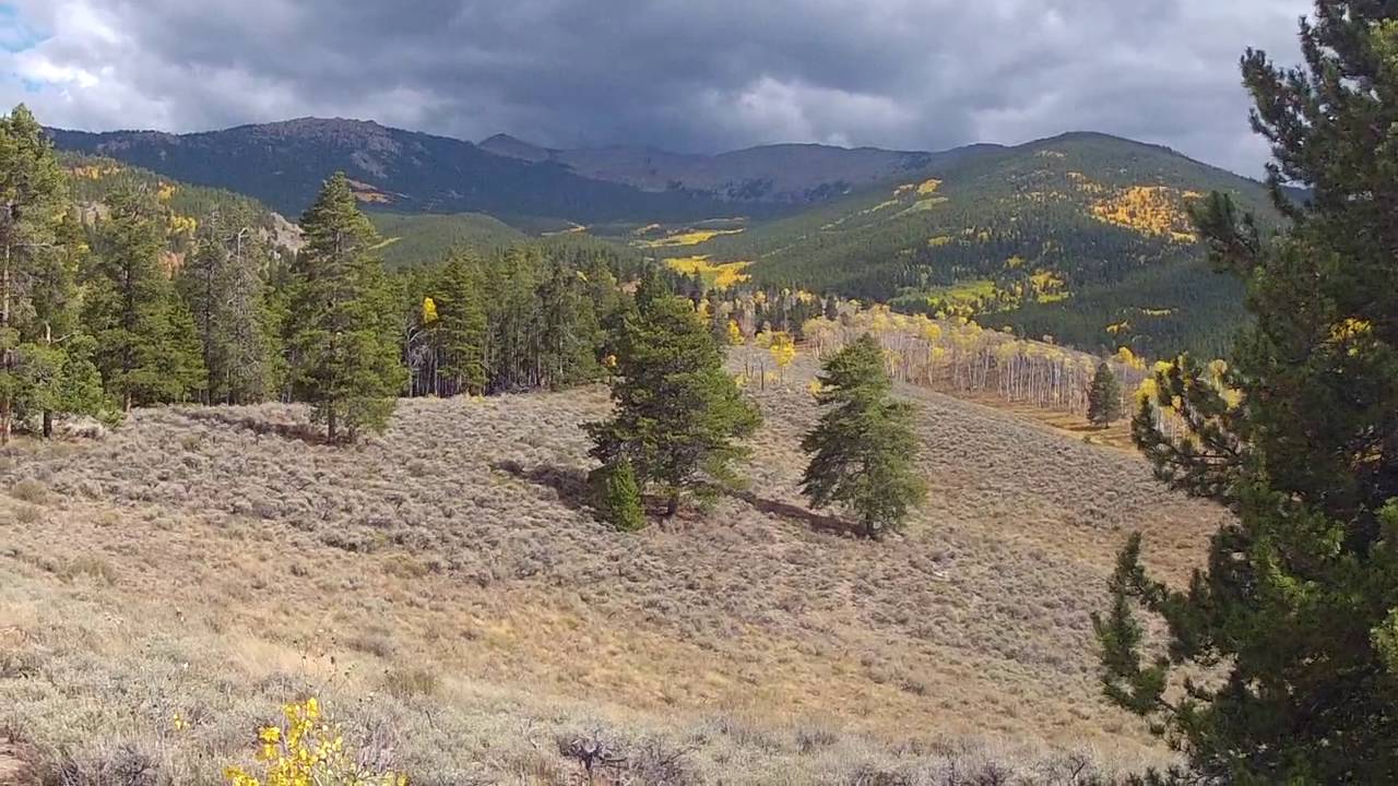 Gunnison National Forest Elk Hike YouTube