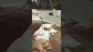Scorching Sun Can’t Stop Us 💪 | Garden Transformation Work